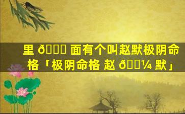 里 🐟 面有个叫赵默极阴命格「极阴命格 赵 🐼 默」